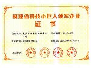 科技小巨人企业